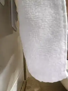 Hiroshi Shen online show from November 27, 2025, 11:23 am