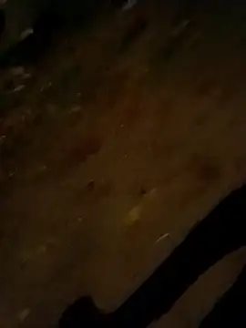 Snapshot of jvdzj-0_ chatting on October 28, 2025, 9:50 pm jvdzj-0  online show from October 28, 2025, 9:50 pm