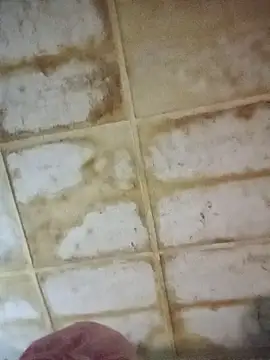 RFeltomWhitJ online show from November 18, 2025, 11:15 pm