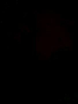 Snapshot of Ori-Lynk chatting on December 1, 2025, 6:29 am Ori-Lynk online show from December 1, 2025, 6:29 am