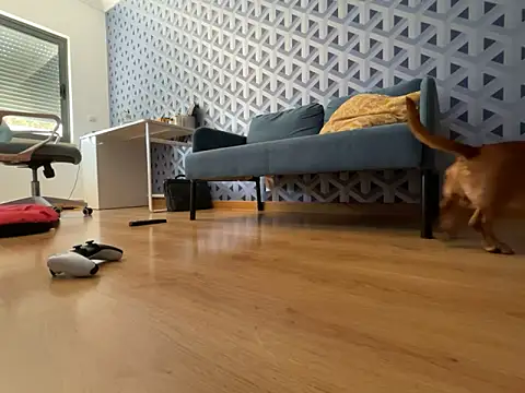 Snapshot of cumman789860 chatting on October 2, 2025, 2:35 pm cumman789860 online show from October 2, 2025, 2:35 pm