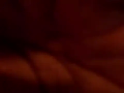 Snapshot of TRANSPORNIDOL chatting on November 22, 2025, 7:24 pm TRANSPORNIDOL online show from November 22, 2025, 7:24 pm