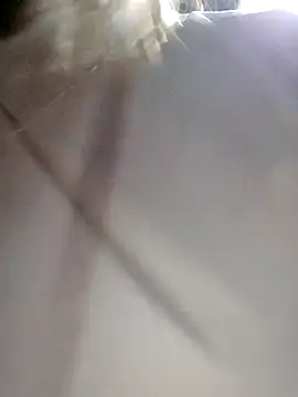 Snapshot of daisy_will chatting on December 3, 2025, 2:08 am daisy will online show from December 3, 2025, 2:08 am