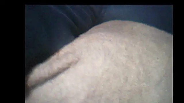 Snapshot of pietje1991 chatting on December 14, 2025, 10:25 pm pietje1991 online show from December 14, 2025, 10:25 pm