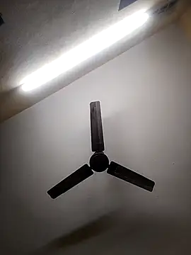 Snapshot of Devi-with-Ram chatting on October 7, 2025, 5:48 am Devi-with-Ram online show from October 7, 2025, 5:48 am