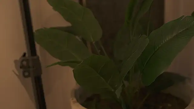 Snapshot of Ariaa_Isabell chatting on September 12, 2025, 6:30 pm Ariaa Isabell online show from September 12, 2025, 6:30 pm
