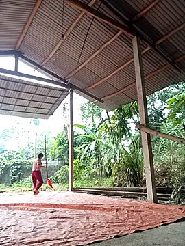 NG N online show from November 17, 2025, 12:27 am