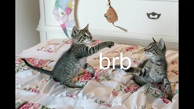 Pink girl0n online show from September 25, 2025, 12:20 pm