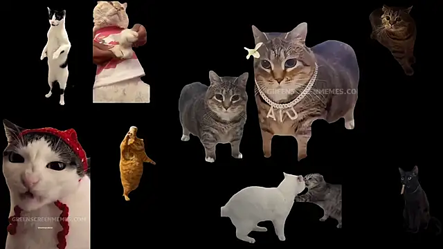 ch0wn m online show from October 24, 2025, 10:44 am