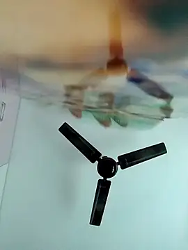 chaitanyaniharika online show from December 20, 2025, 2:29 am