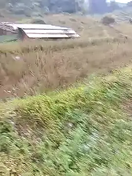 Phuongphuongg online show from October 20, 2025, 2:23 am