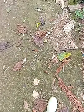 Phuongphuongg online show from October 27, 2025, 4:27 am