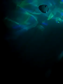 tyrek5051 online show from October 31, 2025, 7:20 am