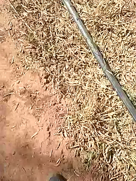 sonotutto online show from October 13, 2025, 10:26 am