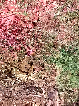 sonotutto online show from October 15, 2025, 8:36 am