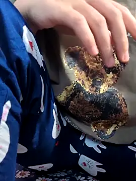 sasud2 online show from November 3, 2025, 2:02 am