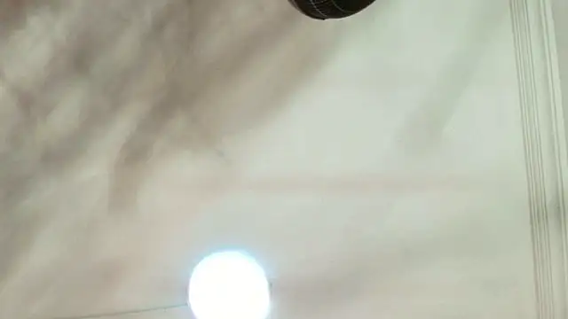 Snapshot of Dixie_grey1 chatting on September 13, 2025, 1:33 pm Dixie grey1 online show from September 13, 2025, 1:33 pm