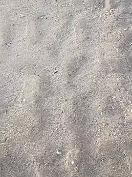 Snapshot of sarahkat86 chatting on November 5, 2025, 12:16 pm sarahkat86 online show from November 5, 2025, 12:16 pm