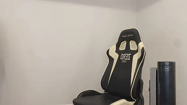 Snapshot of TheDonnyBasilisk chatting on December 4, 2025, 11:13 pm TheDonnyBasilisk online show from December 4, 2025, 11:13 pm