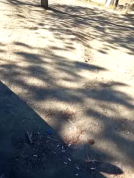 bullut06 online show from September 23, 2025, 6:38 am