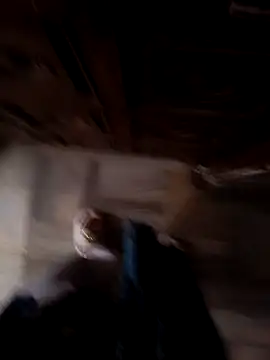 sanu 07 online show from September 9, 2025, 7:08 am