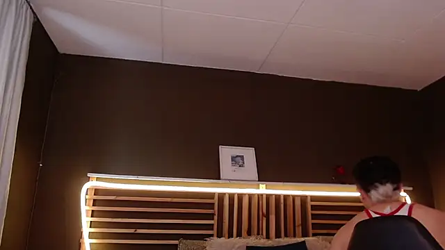 Snapshot of PaulEvens chatting on November 9, 2025, 3:54 pm PaulEvens online show from November 9, 2025, 3:54 pm