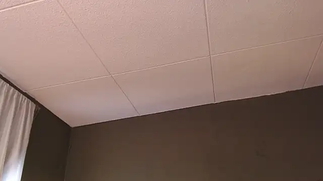 Snapshot of PaulEvens chatting on December 5, 2025, 1:31 pm PaulEvens online show from December 5, 2025, 1:31 pm