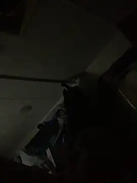 shakeweight online show from October 3, 2025, 10:56 am