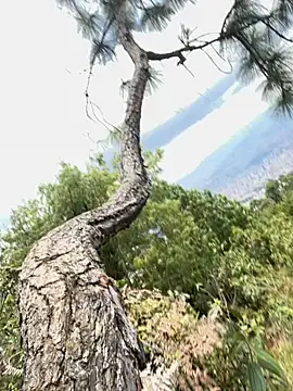 Alexis Spicter online show from September 16, 2025, 5:03 pm