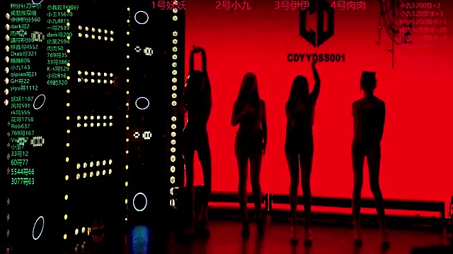 Snapshot of cdyyds001 chatting on November 3, 2025, 7:48 pm cdyyds001 online show from November 3, 2025, 7:48 pm