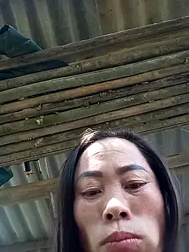 CoMay003 online show from November 15, 2025, 6:22 am