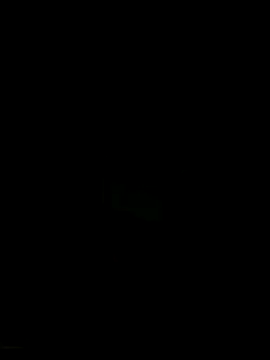 serxxx1287 online show from December 13, 2025, 9:09 pm