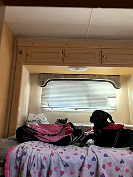 Snapshot of high3ndlowlife chatting on November 20, 2025, 4:40 pm high3ndlowlife online show from November 20, 2025, 4:40 pm