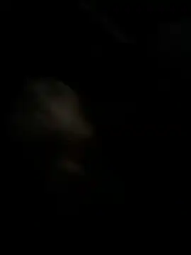 Snapshot of high3ndlowlife chatting on November 27, 2025, 2:13 am high3ndlowlife online show from November 27, 2025, 2:13 am