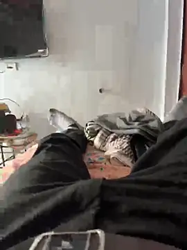 NoddingScorpion online show from September 11, 2025, 8:47 am