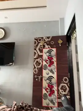 NoddingScorpion online show from September 26, 2025, 9:13 am