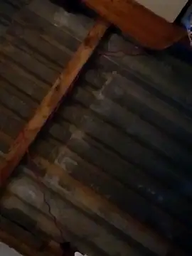 LUISSLEONN0958 online show from September 25, 2025, 9:02 am