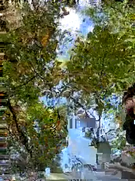 Mexxwell69 online show from September 14, 2025, 3:11 pm