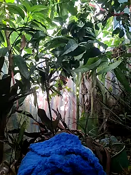 Kiki-vivi online show from September 16, 2025, 1:17 am