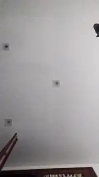 Snapshot of PearlingBunkbed chatting on November 9, 2025, 5:06 am PearlingBunkbed online show from November 9, 2025, 5:06 am