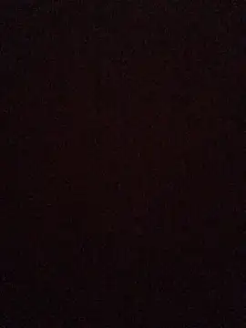 Snapshot of broskies777 chatting on September 13, 2025, 10:48 am broskies777 online show from September 13, 2025, 10:48 am