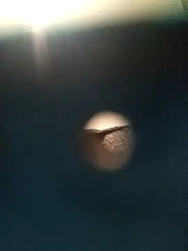 Snapshot of Sonya51561 chatting on November 26, 2025, 2:51 pm Sonya51561 online show from November 26, 2025, 2:51 pm