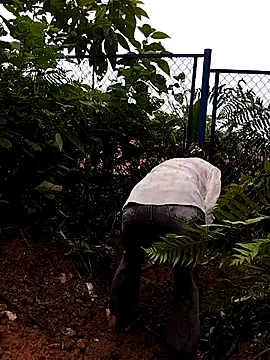 linda bae00 online show from September 27, 2025, 5:45 am