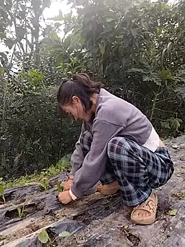 linda bae00 online show from November 15, 2025, 1:58 am