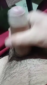 NikolasXL01 online show from November 25, 2025, 1:27 am