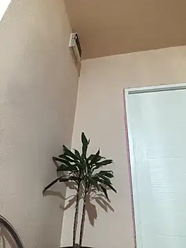 papichulo0099 online show from October 21, 2025, 3:07 am