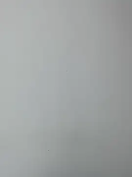 BrendaCrean online show from February 19, 2025, 11:49 am