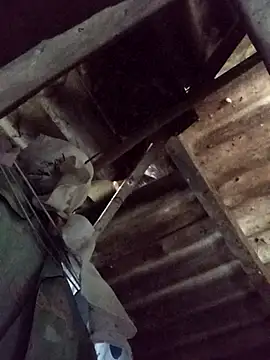  Helala  online show from October 21, 2025, 11:49 pm