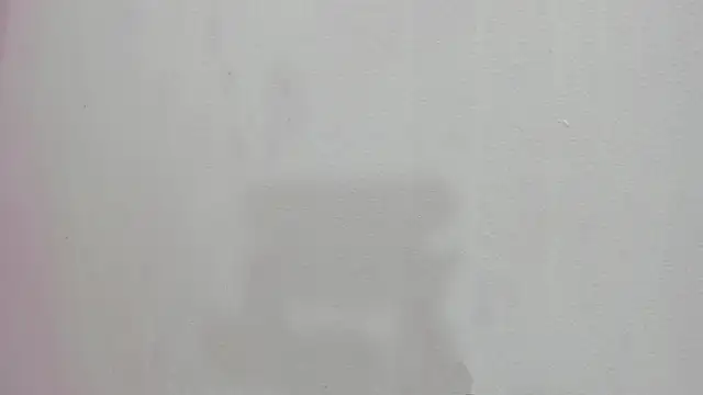 Snapshot of scarlett646 chatting on November 26, 2025, 3:07 am scarlett646 online show from November 26, 2025, 3:07 am