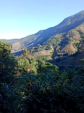 misa 00 online show from November 29, 2025, 1:08 am